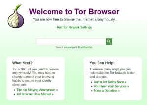 tor internet browser